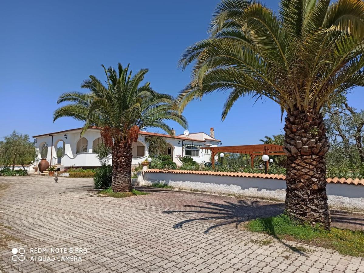 Villa Cristalda В'єсте Екстер'єр фото